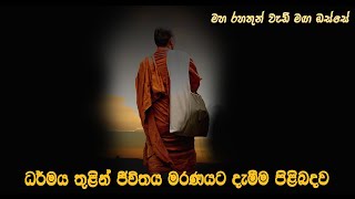 ධර්මය තුළින් ජීවිතය මරණයට දැමීම පිළිබදව....Maha Rahathun Wadi Maga Osse