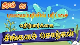 எதிர்பார்க்கை சிங்களச் சொற்கள் | புலமைப்பரிசில் பரீட்சை 2023 | Grade 05 | Scholarship Sinhala Words