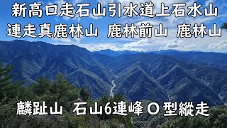 [嘉義阿里山] 新高口走石山引水道上石水山，連走真鹿林山、鹿林前山、鹿林山、麟趾山，下玉山林道順登石山  6連峰O型縱走