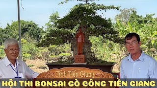 Đã mắt những tác phẩm mai nu sọ khỉ chiếu thủy linh sam đẹp nhất hội thi kiểng cổ bonsai ở Gò Công