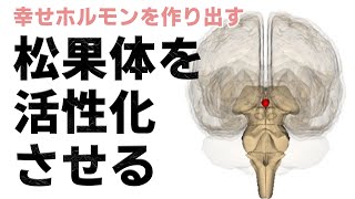 【必見】『松果体を活性化』させる４つの習慣とは？