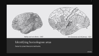OHBM 2024 | Educational Course | An introduction to cross-species comparative neuroimaging | Part 2