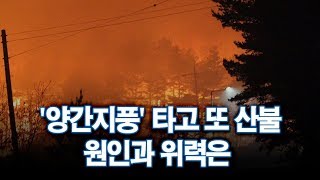 [뜯어보니] '양간지풍' 타고 또 산불…원인과 위력은