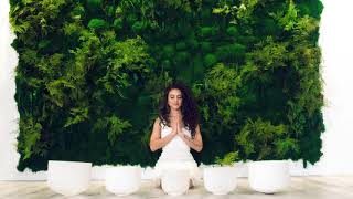 Sounds From Above by LUCIANA  (1hr Sound healing meditation)