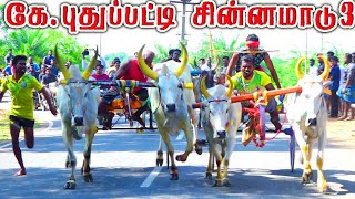 புதுக்கோட்டை(மா) புதுப்பட்டி சின்னமாடு 3  -04.10.2023