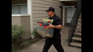 Evicted Tenant Leaves Boxes of Tarantulas Behind