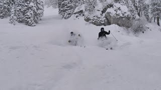 Bridger Bowl Daily Video 12-31-2024