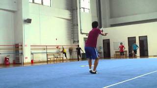 Shandong Wushu Team 2