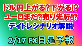 FXデイリー日足予報　　　2020年2月17日（月）　   Daily Forex Forecasts , Tecnical Analysis and Signals