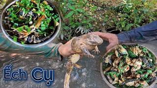 Trở Lại  Hố Bom  Còn Xót Lại Hơn 50 năm | Gấc Quê