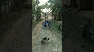 সাইকেল নিয়ে ভিডিও। cycle # niye#shorts# video 🚲🚥😍🚦