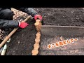 【家族で別荘作り 79】ほぼ半日で階段完成！森の中の小道作りpart6【別荘】【diy】 小道作り 別荘