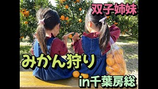 レクサスで行く双子姉妹とみかん狩り！食べ放題でお腹一杯な千葉房総ドライブ！