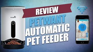 Petwant Automatic Pet Feeder Review