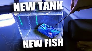 NEW TANK FOR THE NEW FISH!!