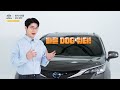 toyota 바른 dog 캠페인 – 실외 배변하는 강아지 반려인 필수 사항