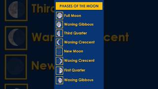 What Are the Moon's Phases? #vocabulary