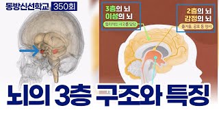 동방신선학교 [350회] 뇌의 3층 구조와 특징/ 동방신선학교 수행의 시간