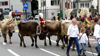 Alpabzug in Näfels, GL, am 30. September 2019