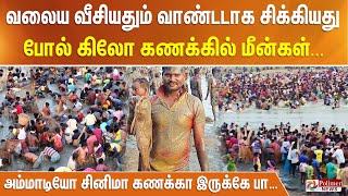 அம்மாடியோ சினிமா கணக்கா இருக்கே பா… வலைய வீசியதும் வாண்டடாக சிக்கியது போல் கிலோ கணக்கில் மீன்கள்..!!