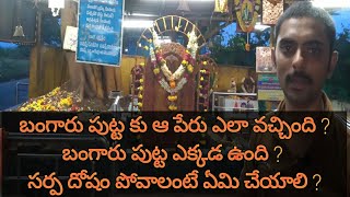 బంగారు పుట్ట