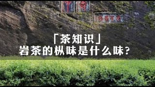 吃茶去｜「茶知识」岩茶的枞味是什么味？