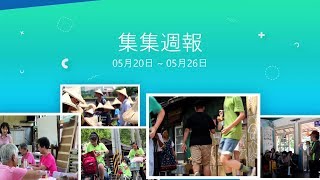 集集週報2019/05/20~05/26