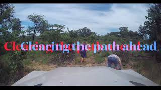 Grenadier and the Elephants in Khaudom NP