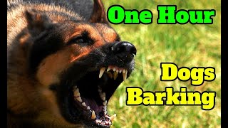 Dogs Barking for One Hour - barking sounds for 60 minutes of different breeds of dogs