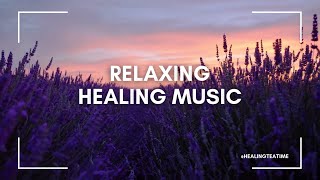 A true healing time! Stress out in 10 minutes!🌸 Magical moment of sunset and lavender✨soothing music