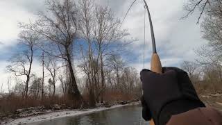 Fly Fishing in Vermont for Gorgeous Brown Trout! (Road Trip Fly Fishing)