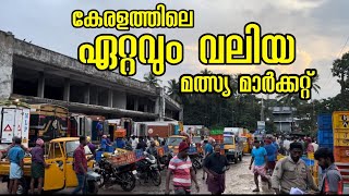 കേരളത്തിലെ ഏറ്റവും വലിയ മൽസ്യ മാർക്കറ്റ് | BIGGEST FISH MARKET IN KERALA | KUNNAMKULAM FISH MARKET