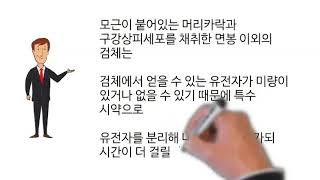 확인용친자확인검사방법안내, 친자확인 유전자검사 문의상담 010-8420-1529 카톡아이디 dnatest