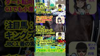 【投資競馬塾】フェブラリーステークス（G2)☆あたると美馬の応援馬・注目馬・中穴☆過去10年分析　#shorts