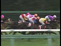 ウイニングチケット 1993年 第30回報知杯弥生賞 gii 優勝馬：ウイニングチケット