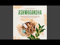 Kapitel 117 - Ashwagandha - Das große Ashwagandha Buch zur gezielten Anwendung der Schlafbeere...