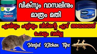 എലിയെ ഓടിക്കാൻ ഈ സൂത്രം ഒന്ന് പരീക്ഷിച്ചു നോക്കൂ||How to get rid of Rats||Useful Kitchen Tips