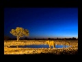 Luca Bacchetti - Night over kwazulu