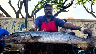 KASIMEDU SPEED SELVAM FISH CUTTING VIDEO / cutting focus