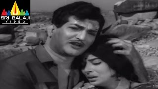 Jeevitha Chakram Movie Climax Scene | NTR, Vanisri, Sharada | Sri Balaji Video