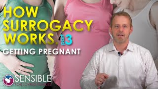 STEP 3. Getting Pregnant & Embryo Transfer: How Surrogacy Works