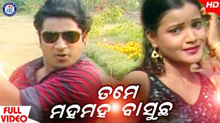 Tame Jaldi Jaldi Jaucha | ତମେ ଜଲ୍ଦି ଜଲ୍ଦି ଯାଉଛ । ସୁନ୍ଦର ଓଡ଼ିଆ ଆଧୁନିକ ଗୀତ