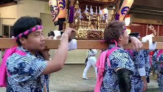 2019年 小田原 松原神社例大祭　神輿渡御