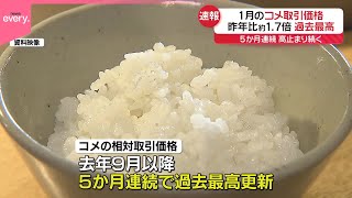 【速報】1月コメ価格、5か月連続で過去最高を更新