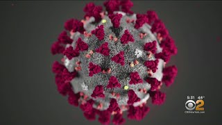 Dr. Max Gomez Clears Up Misinformation Surrounding Coronavirus