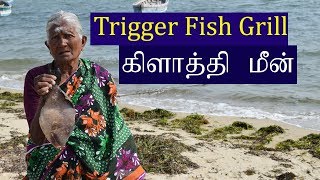 Trigger Fish Grill | கிளாத்தி மீன்