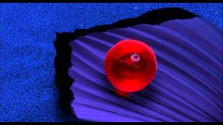 Finding Nemo Title Sequence
