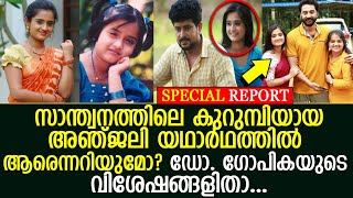 സാന്ത്വനം സീരിയലിലെ ഈ നായിക നടി യഥാര്‍ഥത്തില്‍ ആരെന്ന് അറിയുമോ? l Gopika Anil l Anjali