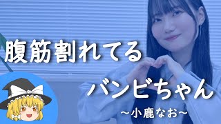 【小鹿なおヒストリー】すぐに詳しくなる動画