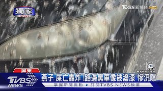 #獨家 燕子「屎亡轟炸」!路邊黑車像被潑漆 慘況曝｜TVBS新聞 @TVBSNEWS02